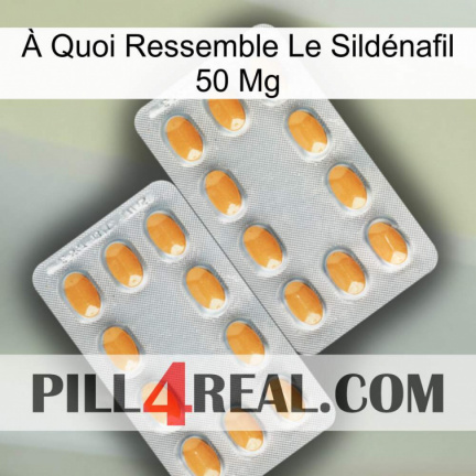 À Quoi Ressemble Le Sildénafil 50 Mg cialis4